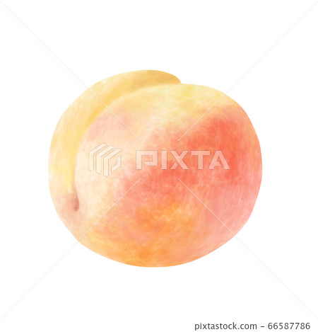 桃子水彩 66587786