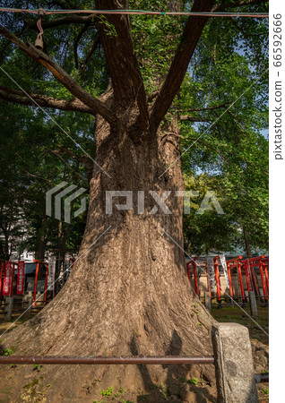 Kishimojin Shrine Grand Duke Kishimojin Shrine Grand Duke 66592666