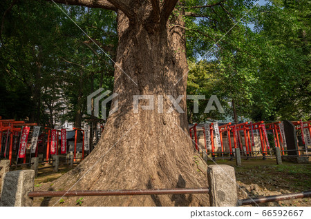 Kishimojin Shrine Grand Duke 66592667