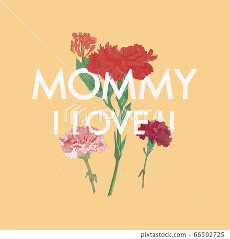 Mother's Day Carnation Greeting Card 66592725