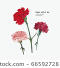 Mother's Day Carnation Greeting Card 66592728