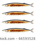 Various cuts of grilled autumn saury 66593528