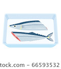 Fresh swordfish cut in half 66593532