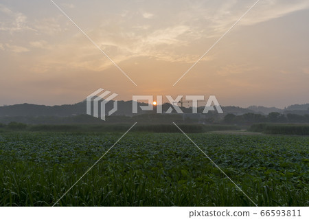 Hwarang Lake, Ansan, Gyeonggi-do 66593811