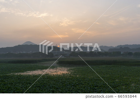 Hwarang Lake, Ansan, Gyeonggi-do 66593844