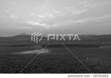 Hwarang Lake, Ansan, Gyeonggi-do 66593868