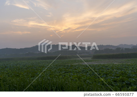 Hwarang Lake, Ansan, Gyeonggi-do 66593877