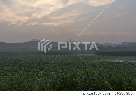 Hwarang Lake, Ansan, Gyeonggi-do Hwarang Lake, Ansan, Gyeonggi-do 66593896