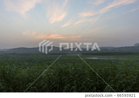 京畿道安山市華郎湖 66593921