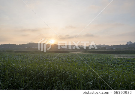 Hwarang Lake, Ansan, Gyeonggi-do Hwarang Lake, Ansan, Gyeonggi-do 66593983
