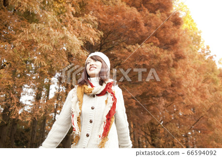 Fall image Fall image 66594092