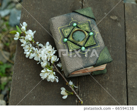 Hand crafted diary book and blooming tree branch on planks. Esoteric, gothic and occult background with magic objects, mystic and fairy tale concept 66594138