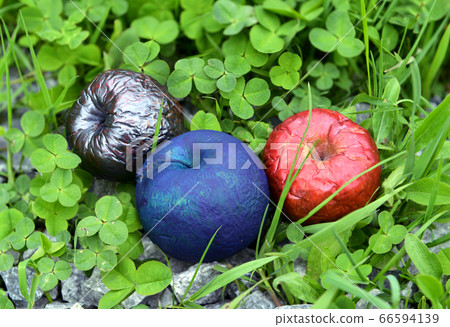 Poisonous or painted apples in clover grass outdoors in the garden. Esoteric, gothic and occult background with magic objects, mystic and fairy tale concept 66594139