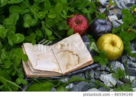 Poisonous magic apples and open diary with empty pages outdoors. Esoteric, gothic and occult background with magic objects, mystic and fairy tale concept Poisonous magic apples and open diary with empty pages outdoors. Esoteric, gothic and occult background with magic objects, mystic and fairy tale concept 66594140