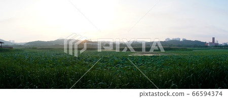 Hwarang Lake, Ansan, Gyeonggi-do Hwarang Lake, Ansan, Gyeonggi-do 66594374