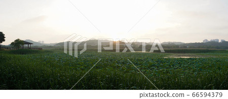 Hwarang Lake, Ansan, Gyeonggi-do 66594379