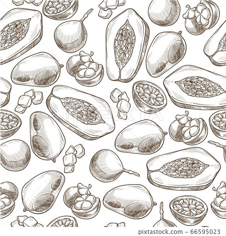 Exotic and tropical fruits, papaya and pitaya seamless pattern 66595023