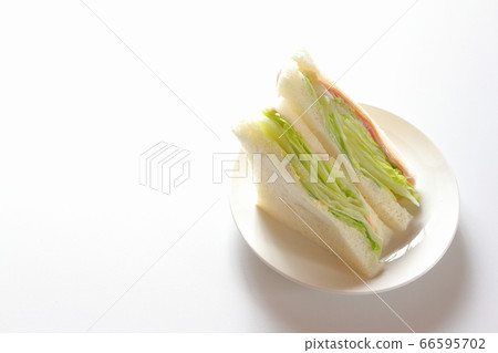 拍張生菜沙 66595702