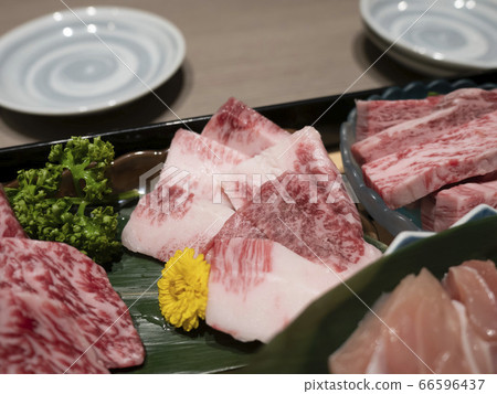 High-grade Yakiniku Japanese Black Beef [Trocarbi] 66596437
