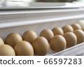 66597283