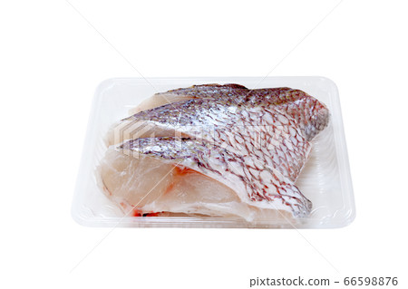Red sea bream fillet in plastic container 66598876