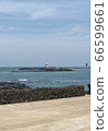 Sea 66599661