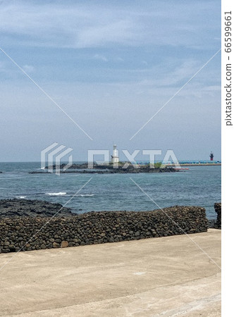 海 海 66599661