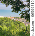 Nature 2 66599810