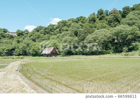 初夏白川鄉（白天） 66599811
