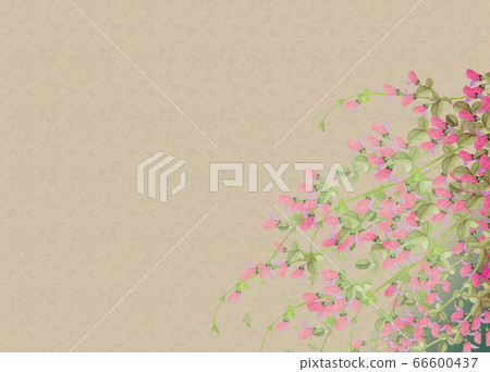 Japanese style watercolor painting of Hagi flowers 66600437