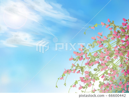 Blue sky and Hagi flowers watercolor 66600442