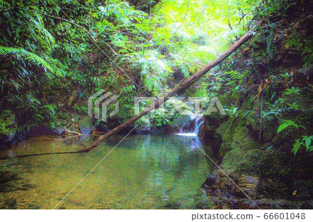 Tanagaru gumi waterfall Tanagaru gumi waterfall 66601048