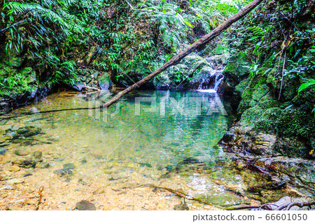 Tanagaru gumi waterfall Tanagaru gumi waterfall 66601050