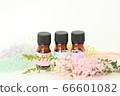 Small bottle of aroma oil and dried flowers 66601082