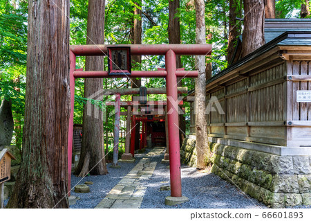 初夏的熊野神社(熊野大社)稻荷神社和鳥居,主要神社山形縣南陽市 初夏的熊野神社(熊野大社)稻荷神社和鳥居,主要神社山形縣南陽市 66601893
