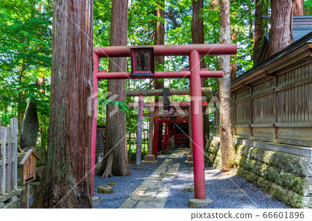 初夏的熊野神社(熊野大社)稻荷神社和鳥居,主要神社山形縣南陽市 初夏的熊野神社(熊野大社)稻荷神社和鳥居,主要神社山形縣南陽市 66601896