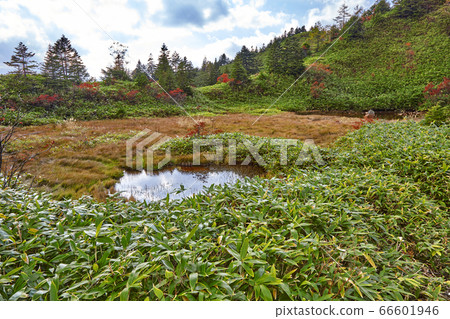 草津白枝山群馬縣 照片素材 圖片 圖庫