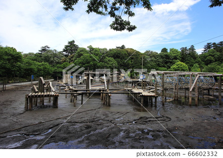 I tried draining the water course. I tried draining the water course. 66602332