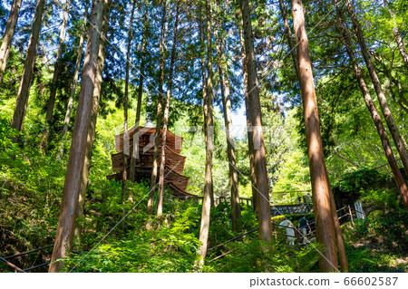 Ueda City, Nagano Prefecture, the octagonal triple tower of Anrakuji at the back of the summer Bessho Onsen 66602587