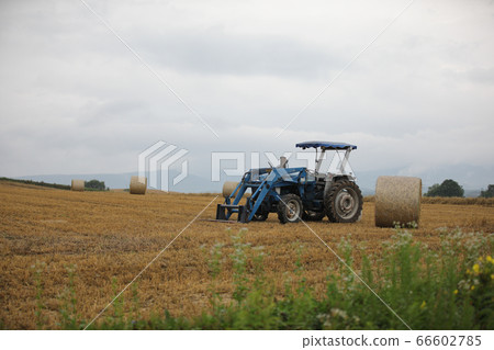 Harvest Harvest 66602785