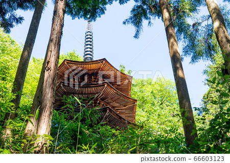 Ueda City, Nagano Prefecture, the octagonal triple tower of Anrakuji at the back of the summer Bessho Onsen 66603123