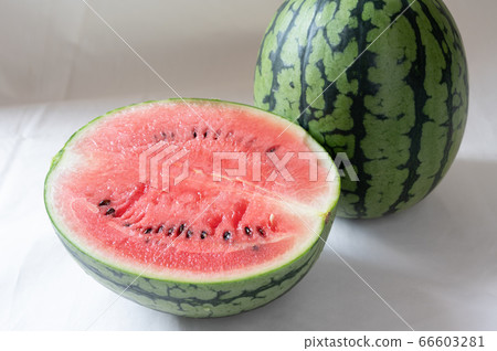 小西瓜 小西瓜 66603281