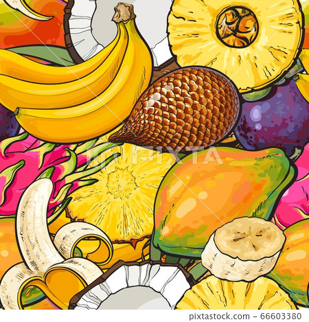 Tropical fruit seamless pattern hand drawn colorful exotic food background with banana, coconut, papaya, dragon fruit 66603380