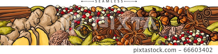 Seamless pattern of spices set sketch vector illustration isolated on white. 66603402