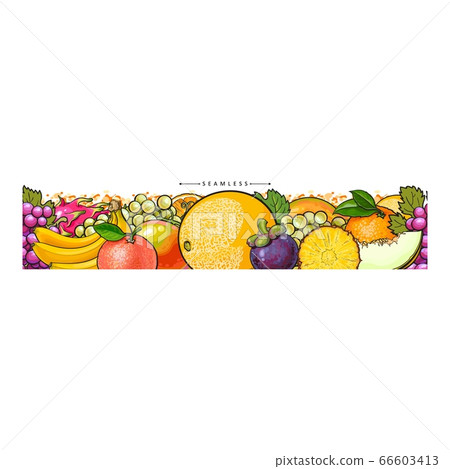 Seamless panoramic pattern with tropical fruits sketch vector illustration isolated. 66603413
