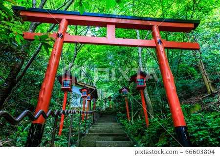 Nanzoin Nanten Inari [福岡縣葛飾區Shinoguri鎮] 66603804