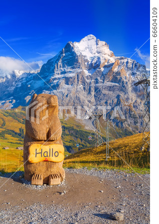 Grindelwald, Switzerland marmot statue, mountains 66604109