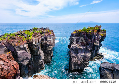 Shigaoka Ito City Jogasaki Coast [June] 66604336