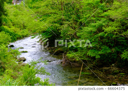 Toyama and fresh green Toga River 66604375