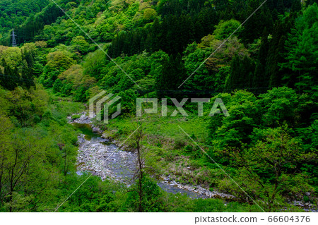 Toyama and fresh green Toga River 66604376